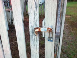 Lock on a gate