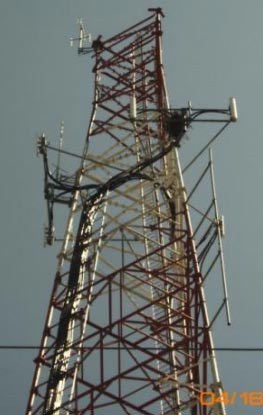 birds nest on a tower