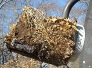 Cleaning a satellite