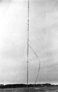 Serendipity in the South